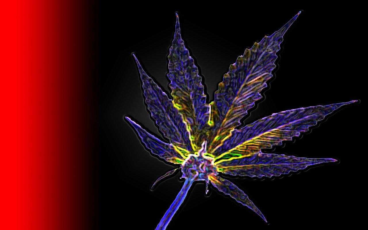 1280x800 Weed marijuana wallpaper HD for desktop background