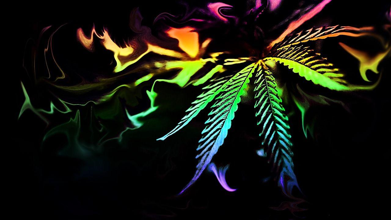 Marihuana Wallpapers Top Free Marihuana Backgrounds Wallpaperaccess 3923