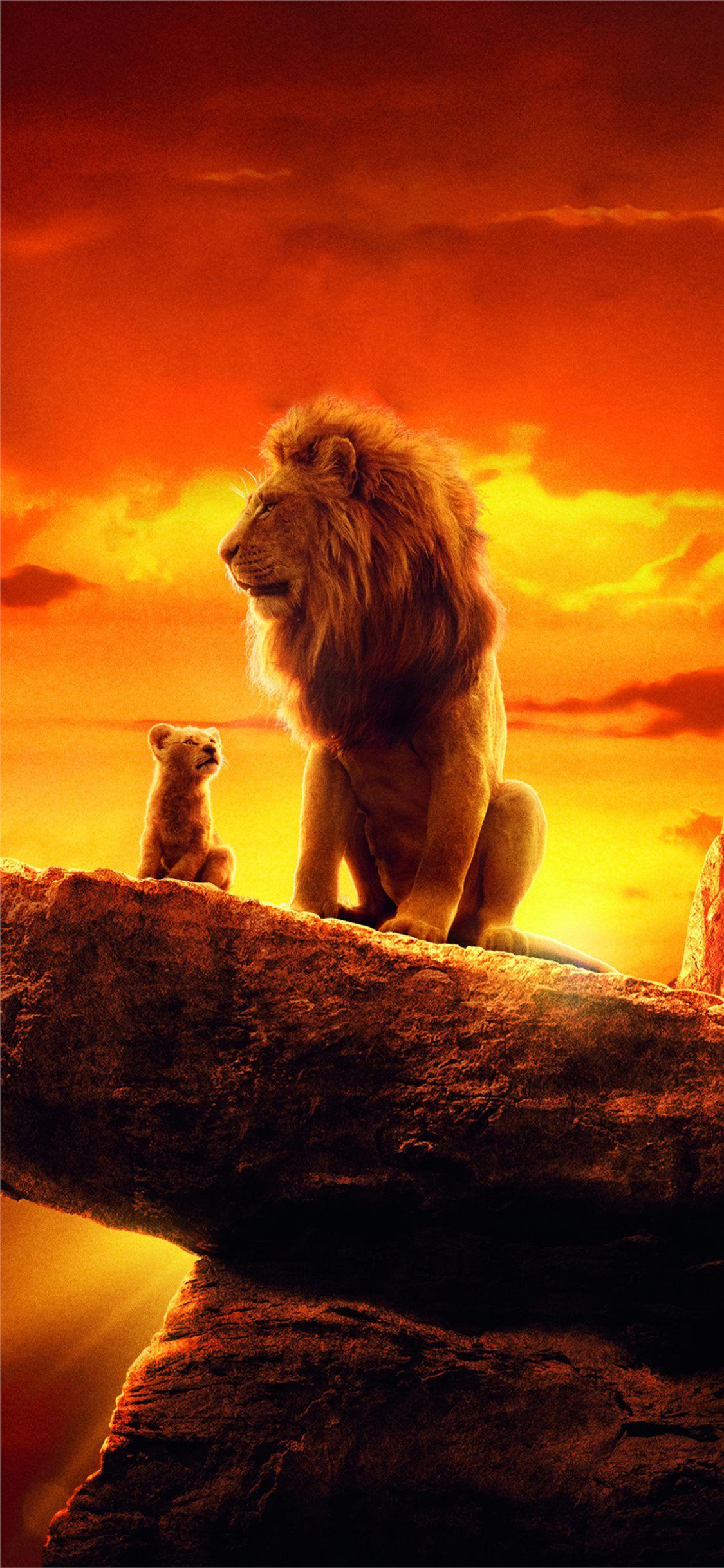 1125x2436 Best simba iPhone 11 Wallpaper HD