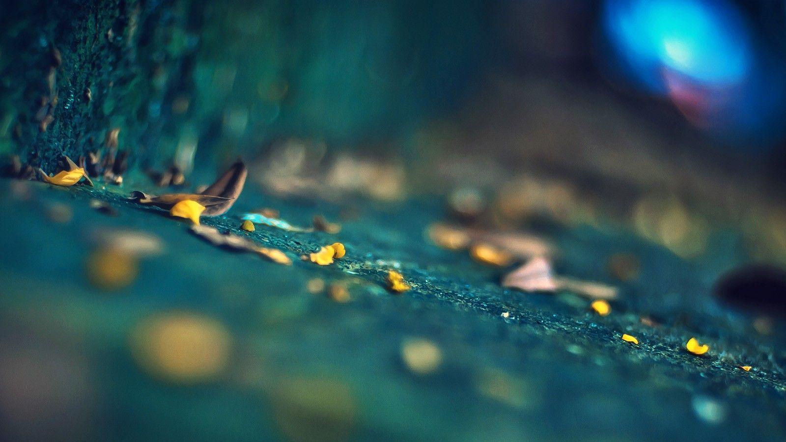 1600x900 Thu 28 May CEST 2015 Depth of Field Picture Desktop