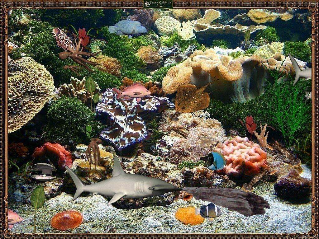1024x768 Fish Life Sea Animal Deep Moving Aquarium As Desktop Wallpaper