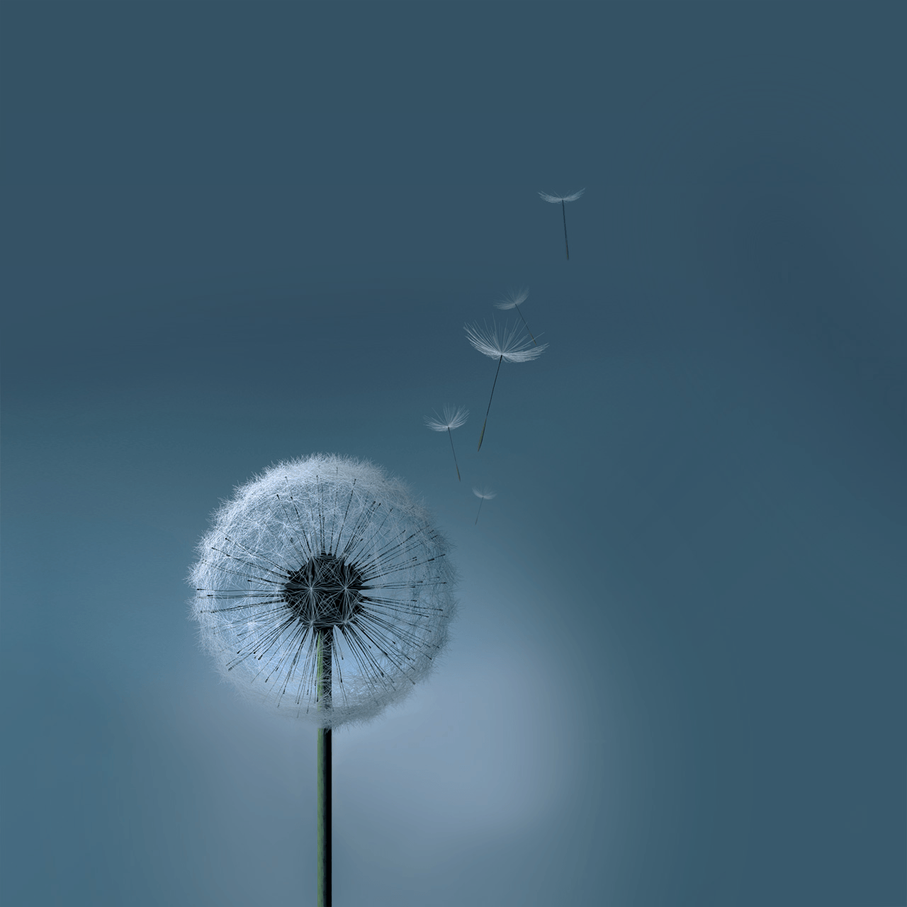 1280x1280 Futuristic HD Background Cool Image 4k Tablet Smart
