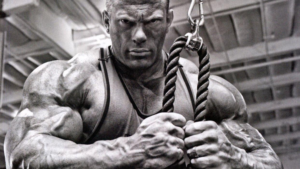 1244x700 Body Building Fitness Muscle Muscles Weight Lifting
