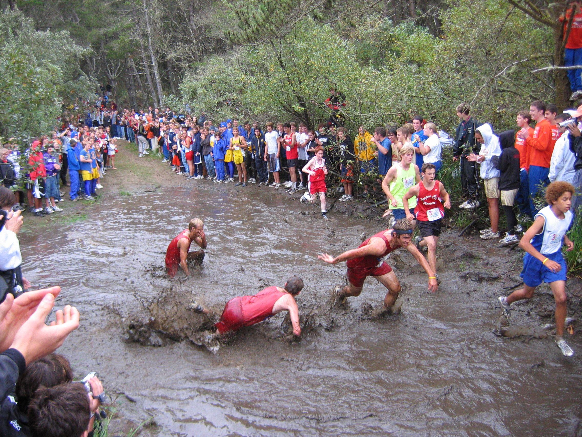 2272x1704 Cross Country Race English, The Free