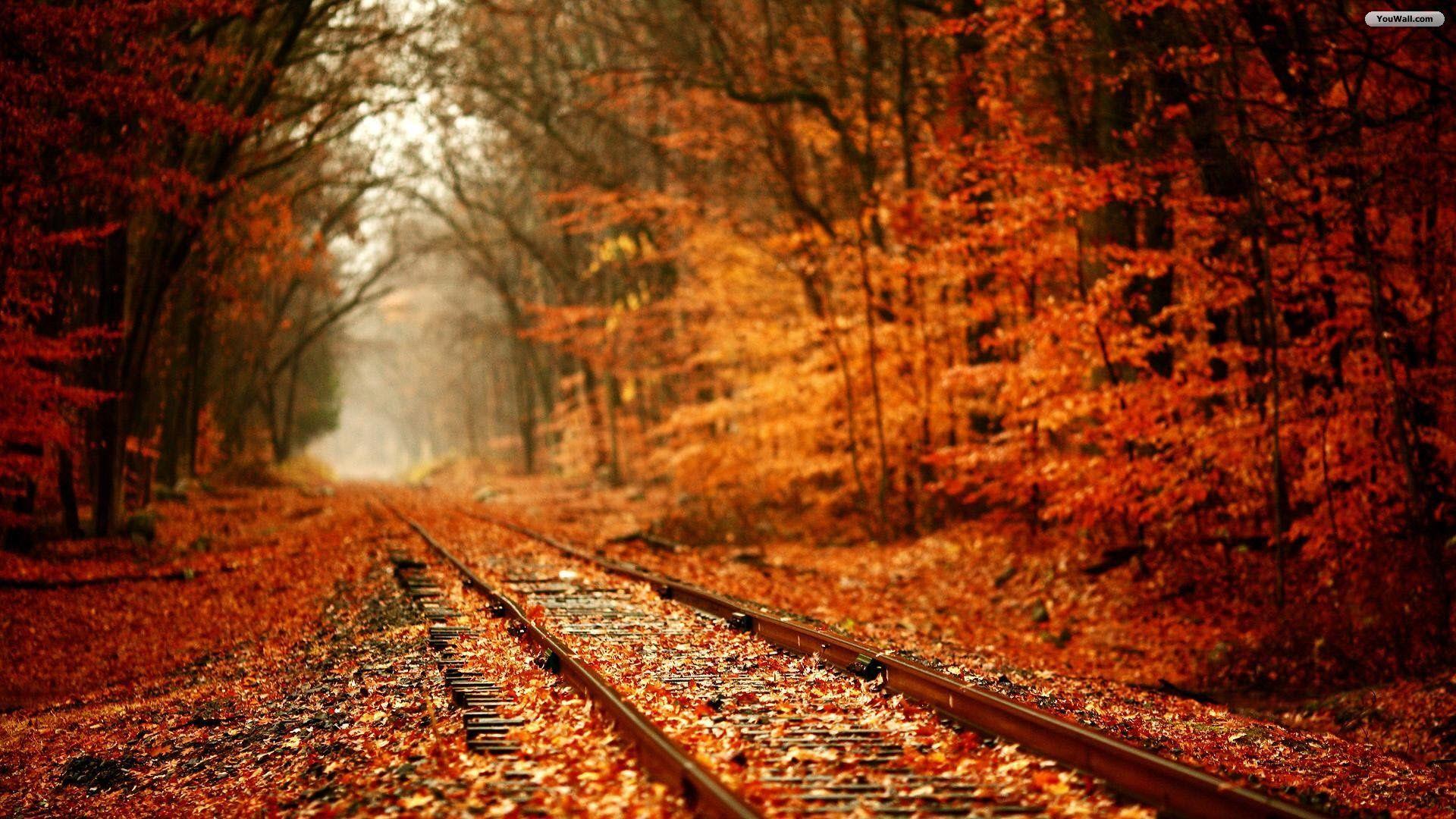 1920x1080 Railway Wallpaper HD