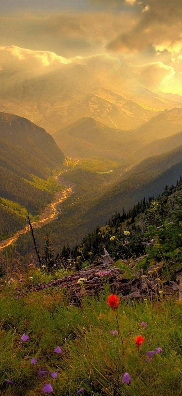 768x1664 Free vivo Z1 Pro Phone Wallpaper 2020