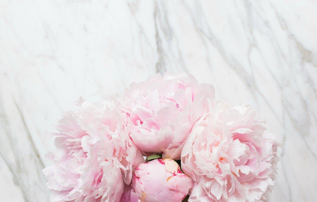 1332x850 Wallpaper flowers, bouquet, marble, pink, flowers, peonies