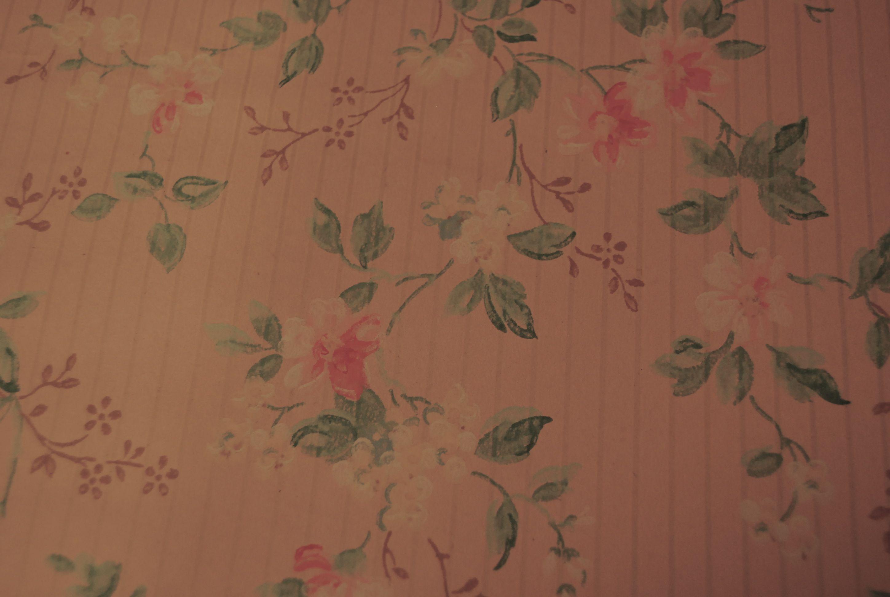 2896x1944 Thrifty Miss Priss: Silver Bella