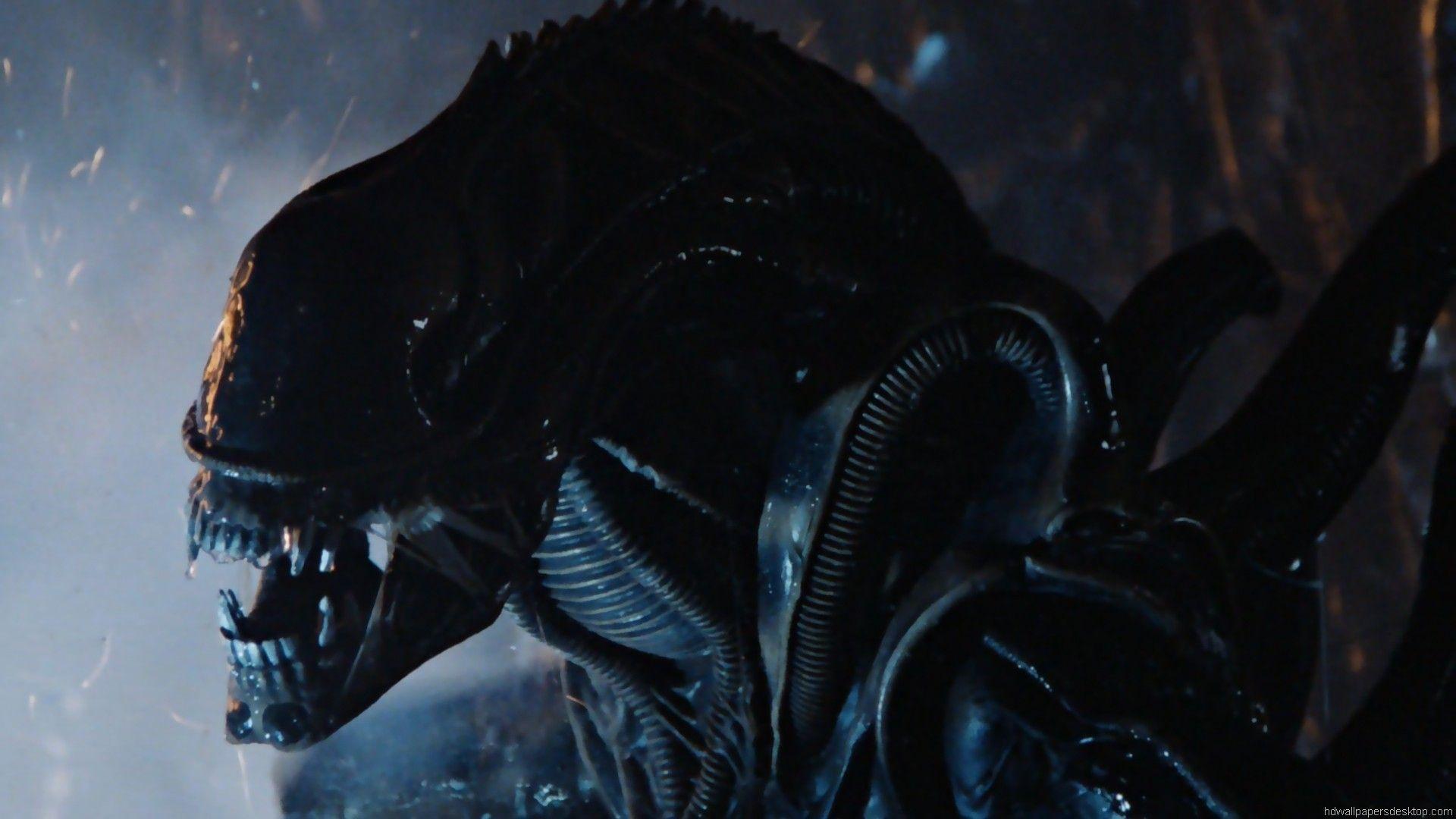 1920x1080 Aliens Movie Wallpaper