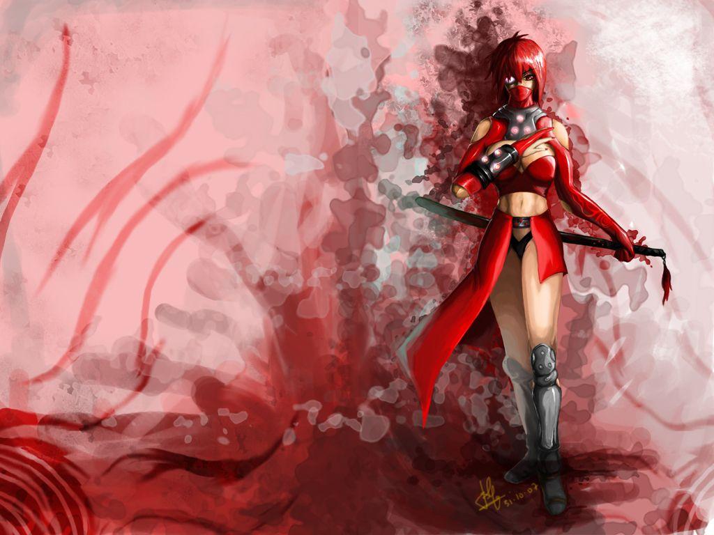 1024x768 Ninja Wallpaper HD