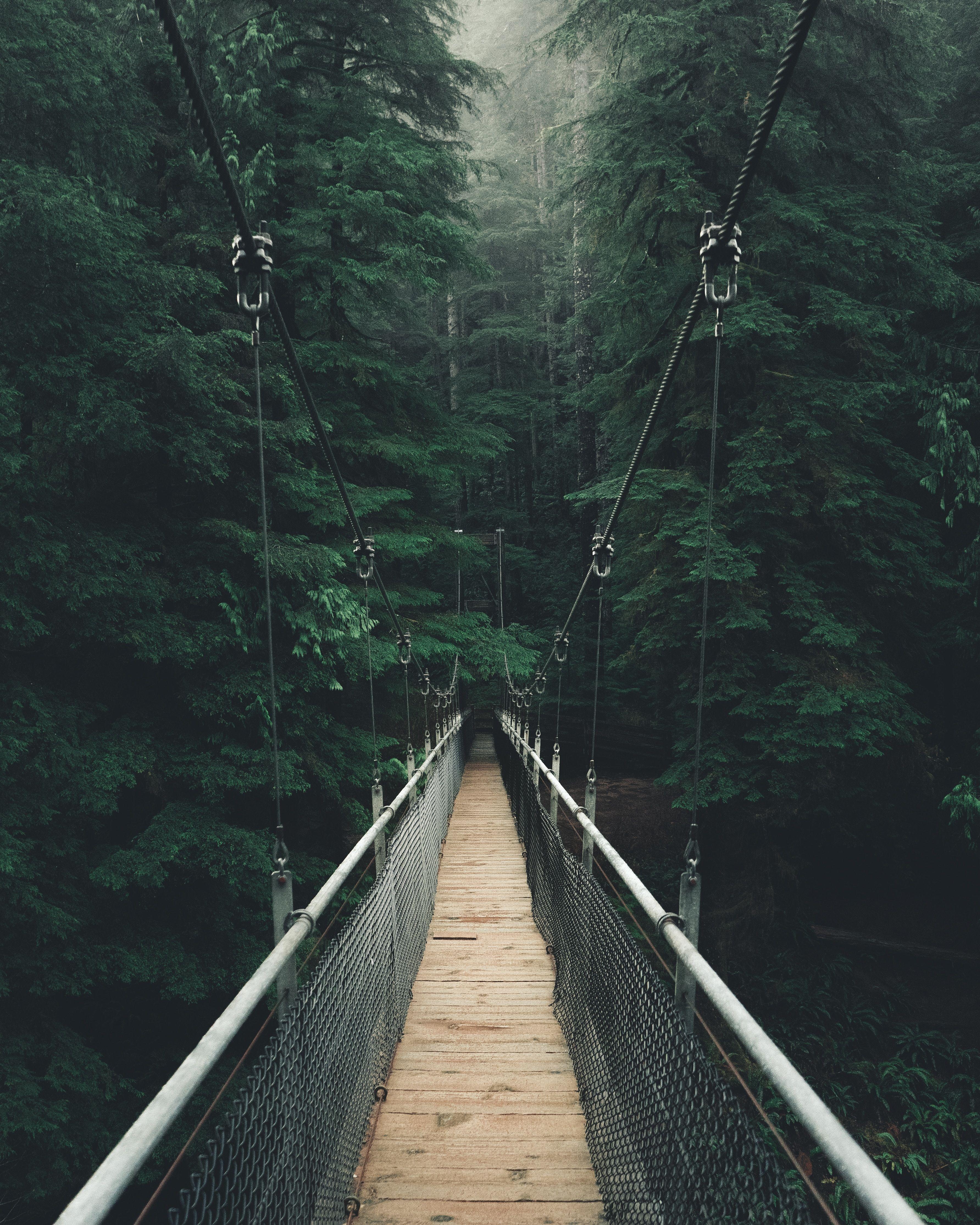 Forest Bridge Wallpapers Top Free Forest Bridge Backgrounds Wallpaperaccess