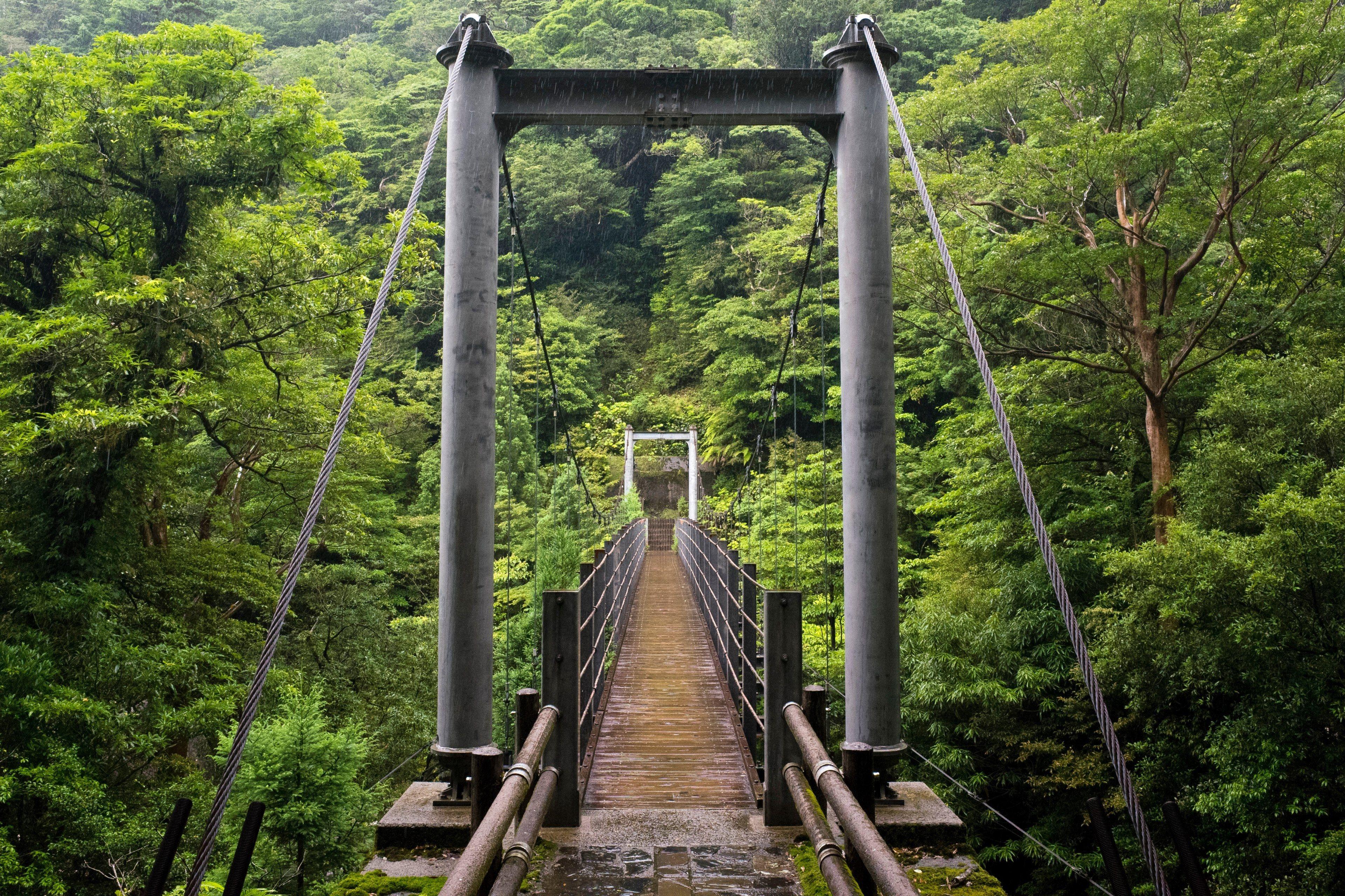 Forest Bridge Wallpapers Top Free Forest Bridge Backgrounds Wallpaperaccess