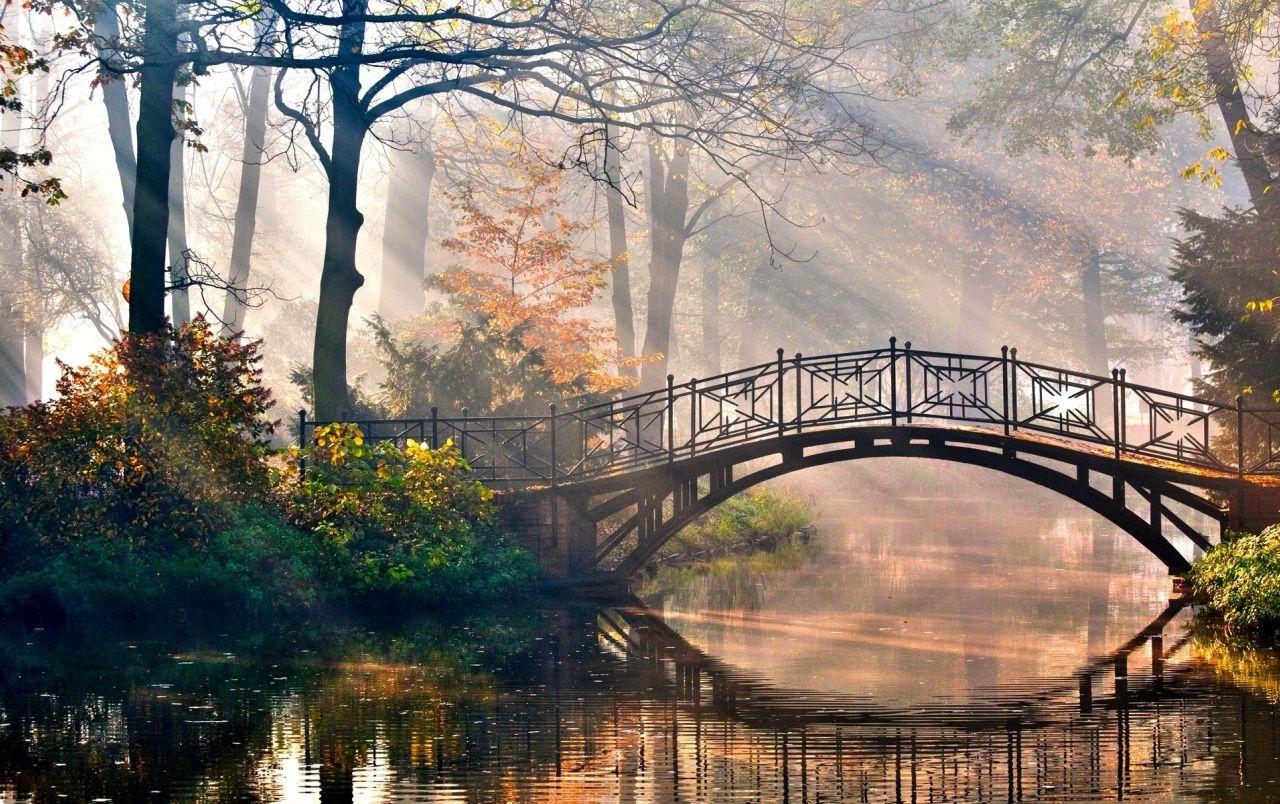 1280x804 Forest Bridge Morning Light wallpaper. Forest Bridge