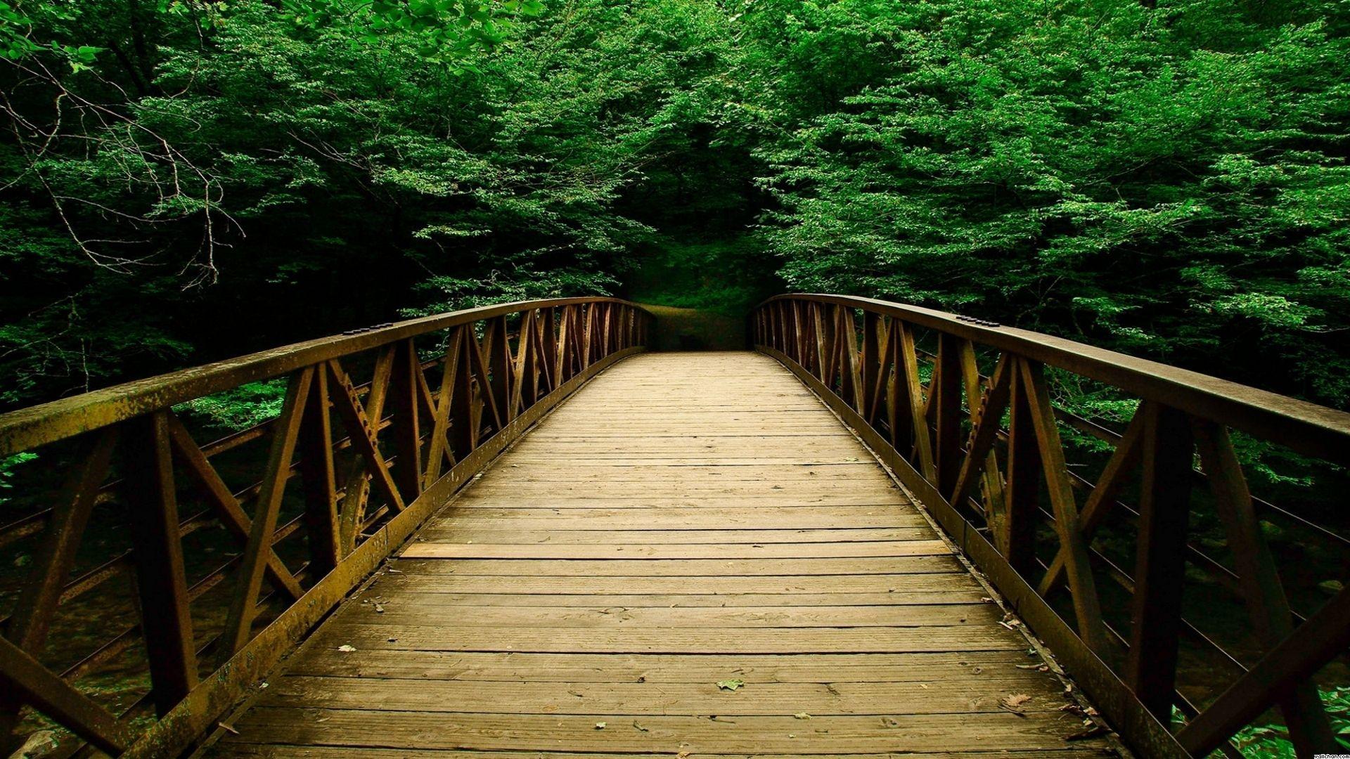 1920x1080 Into The Woods. Bridge wallpaper