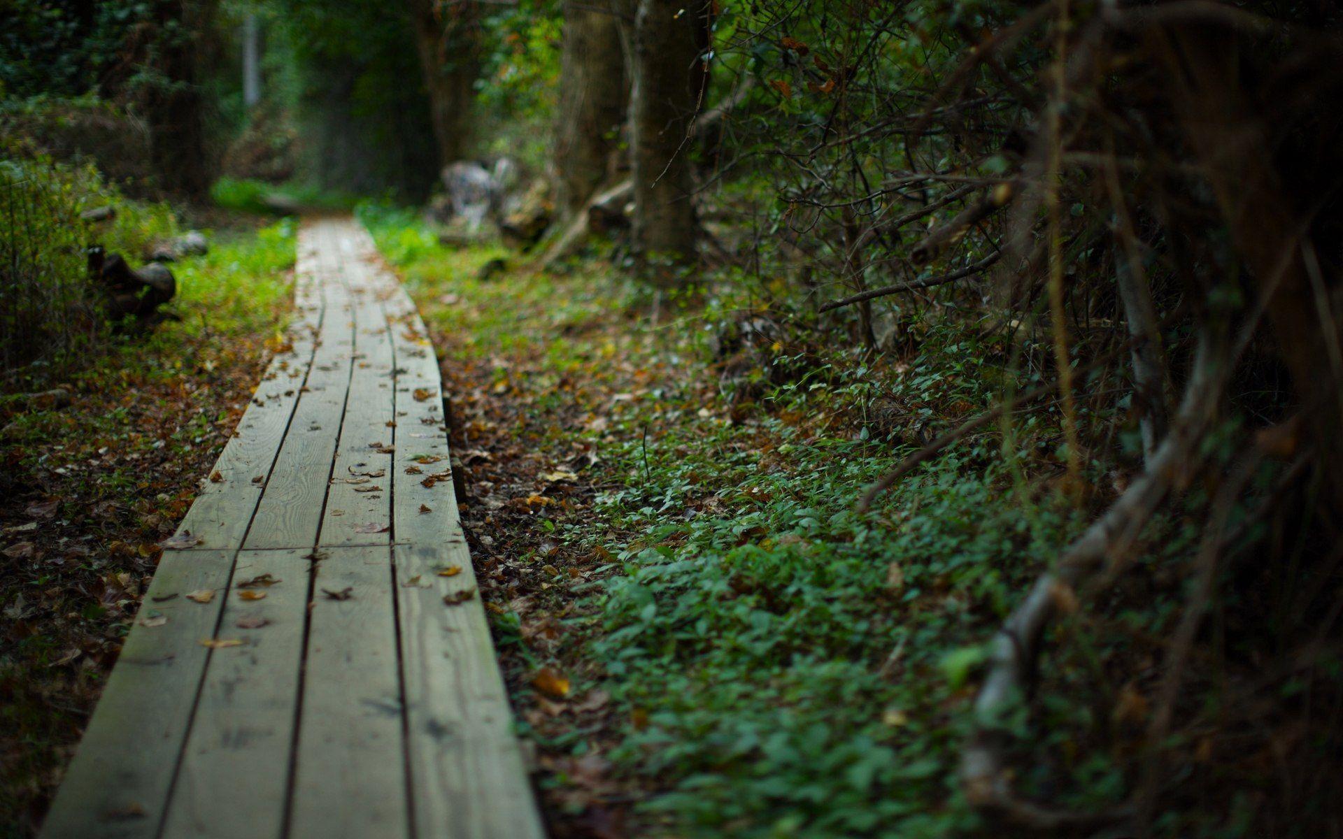 Pathway Wallpapers - Top Free Pathway Backgrounds - WallpaperAccess