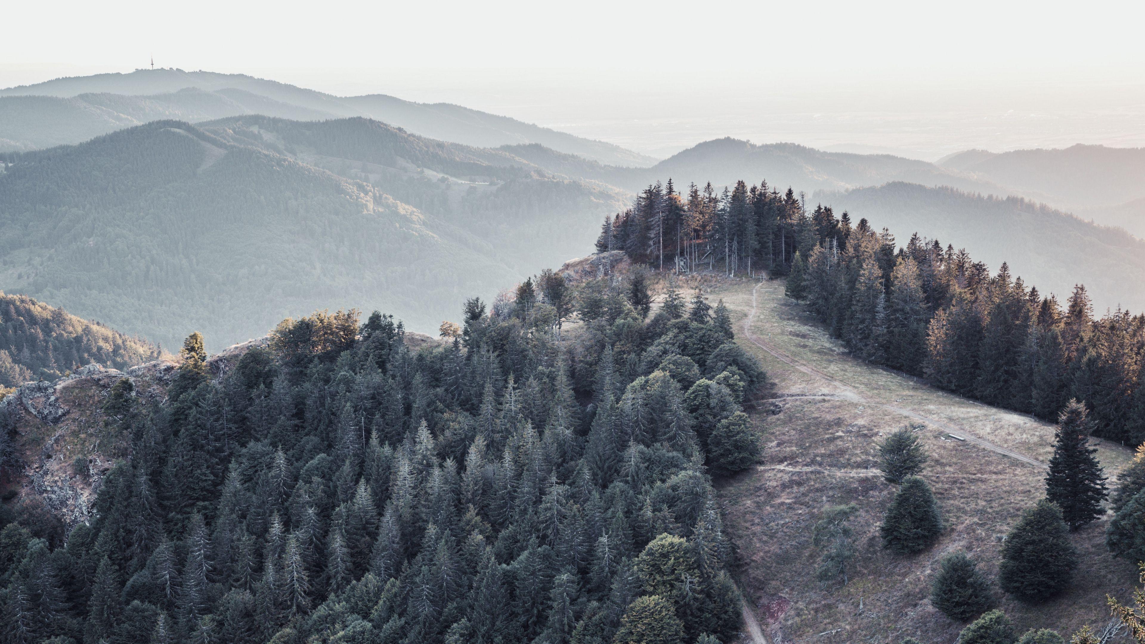 3840x2160 Download wallpaper 3840x2160 forest, trees, mountains, fog