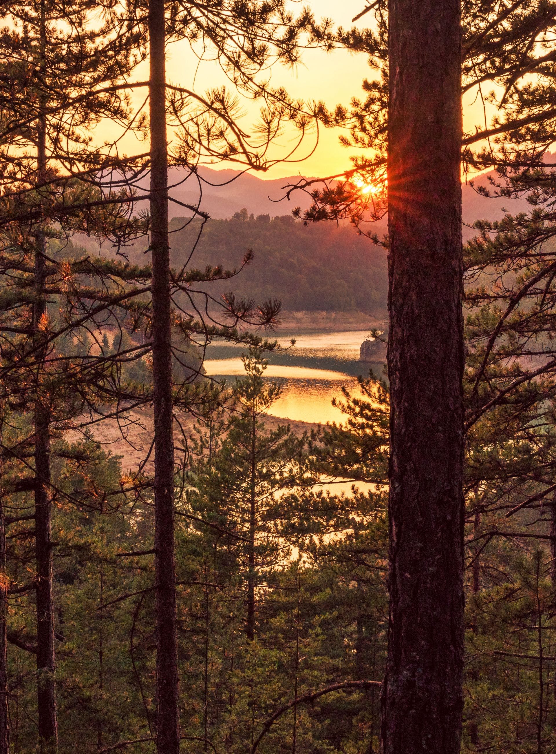 1920x2601 HD Forest Trees landscape sunset lake Wallpaper ·