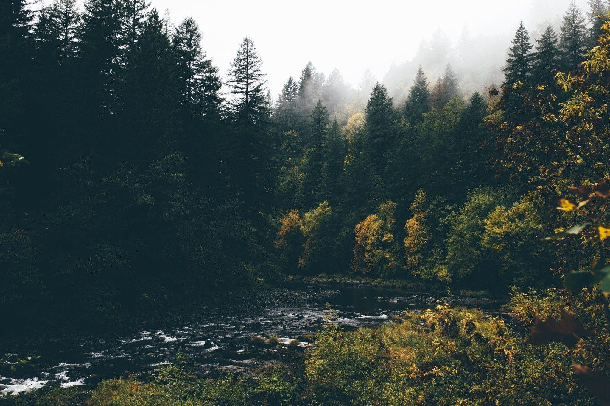 2048x1365 landscape river forest trees wallpaper