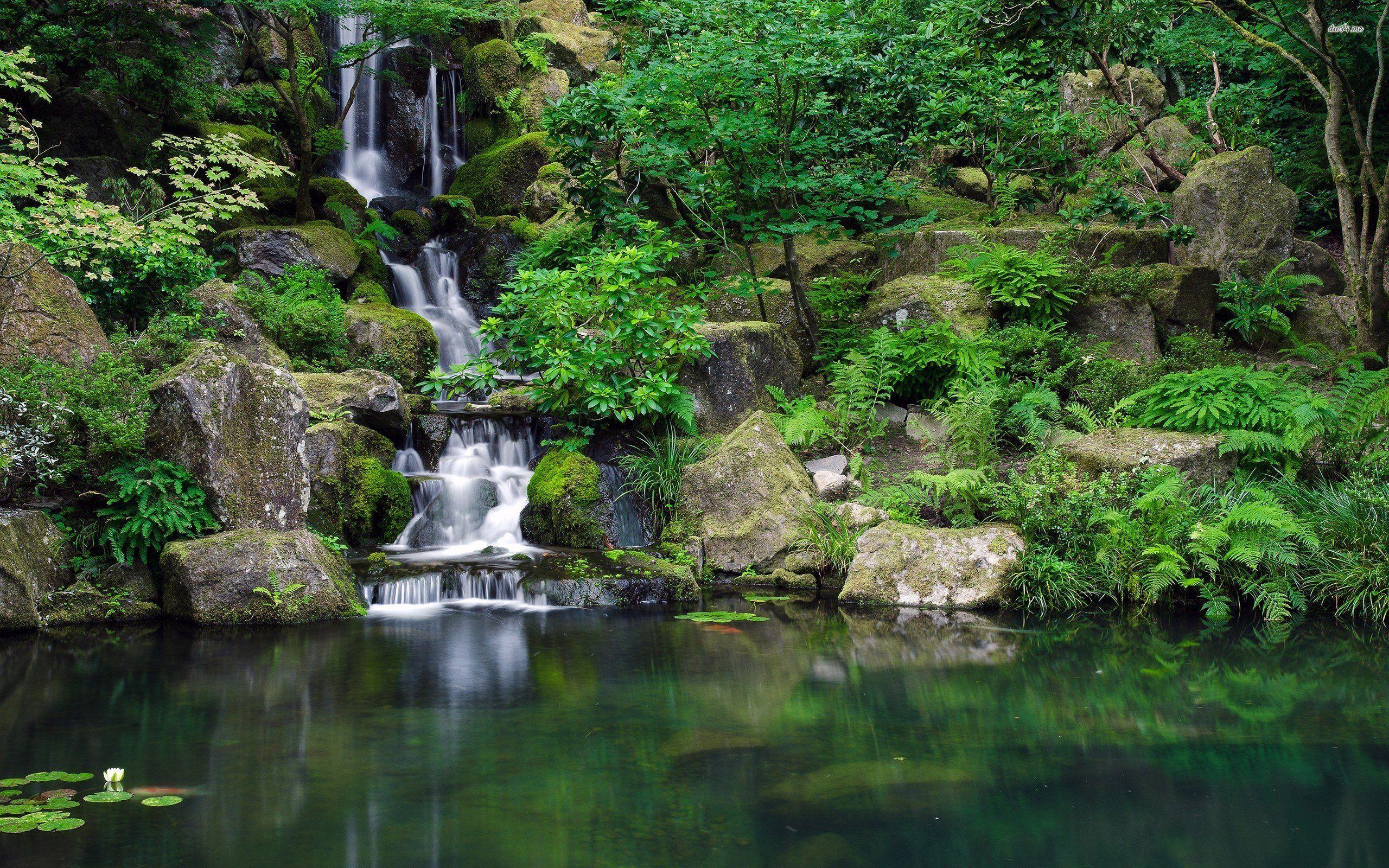 2560x1600 On the desktop image. # Waterfall in the jungle