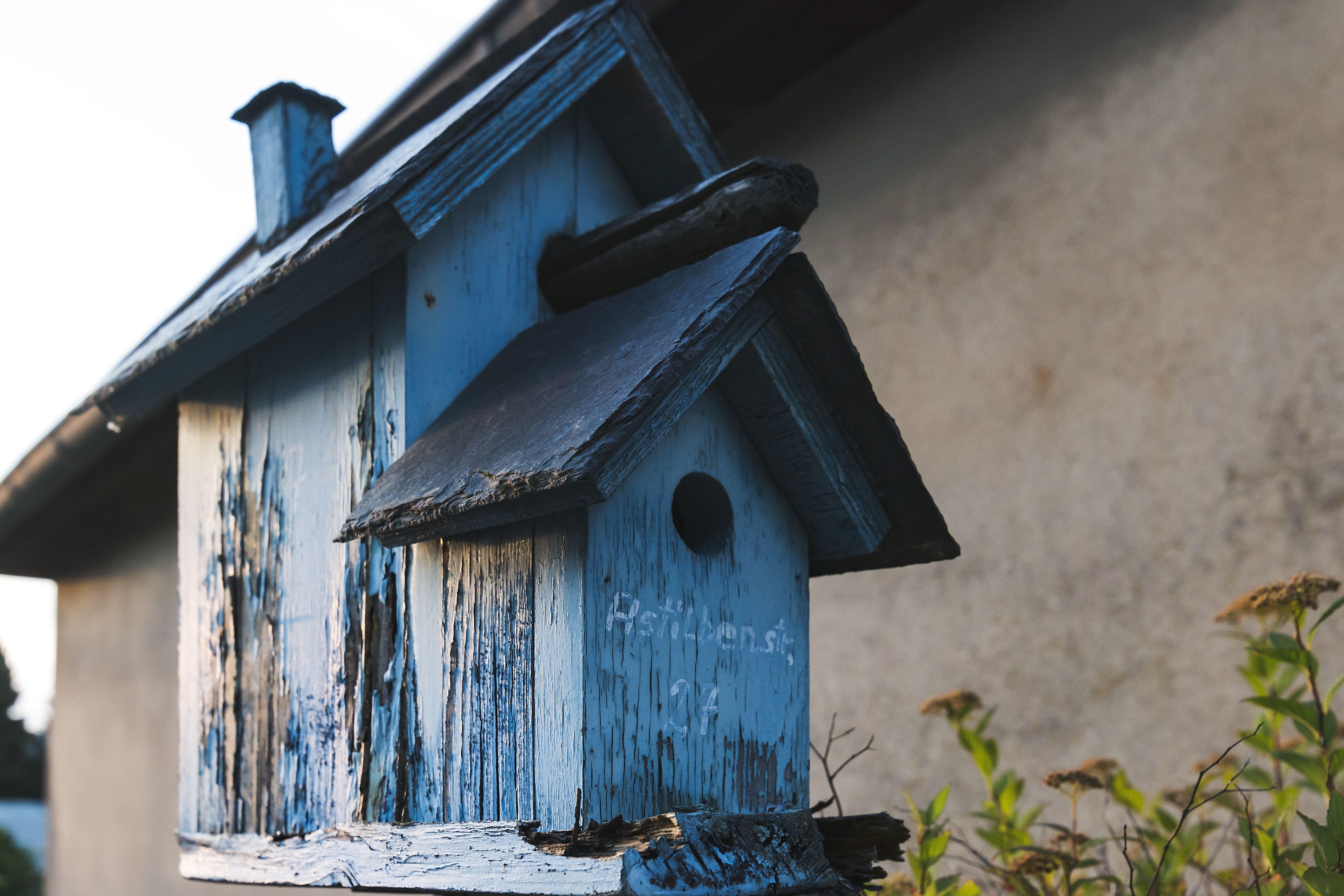 5472x3648 bird house computer background. bird house