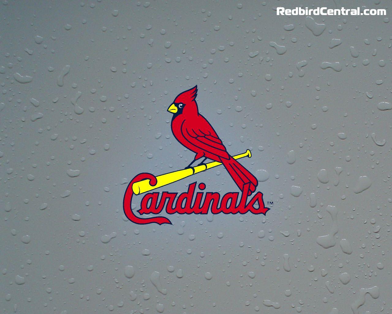 75+] St Louis Cardinals Desktop Wallpaper - WallpaperSafari