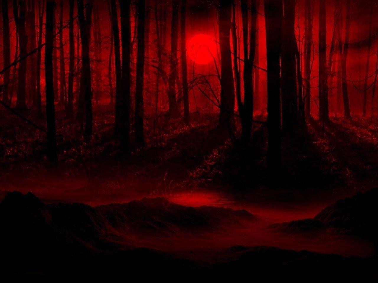 1280x958 Red Wallpaper Dark Forest HD