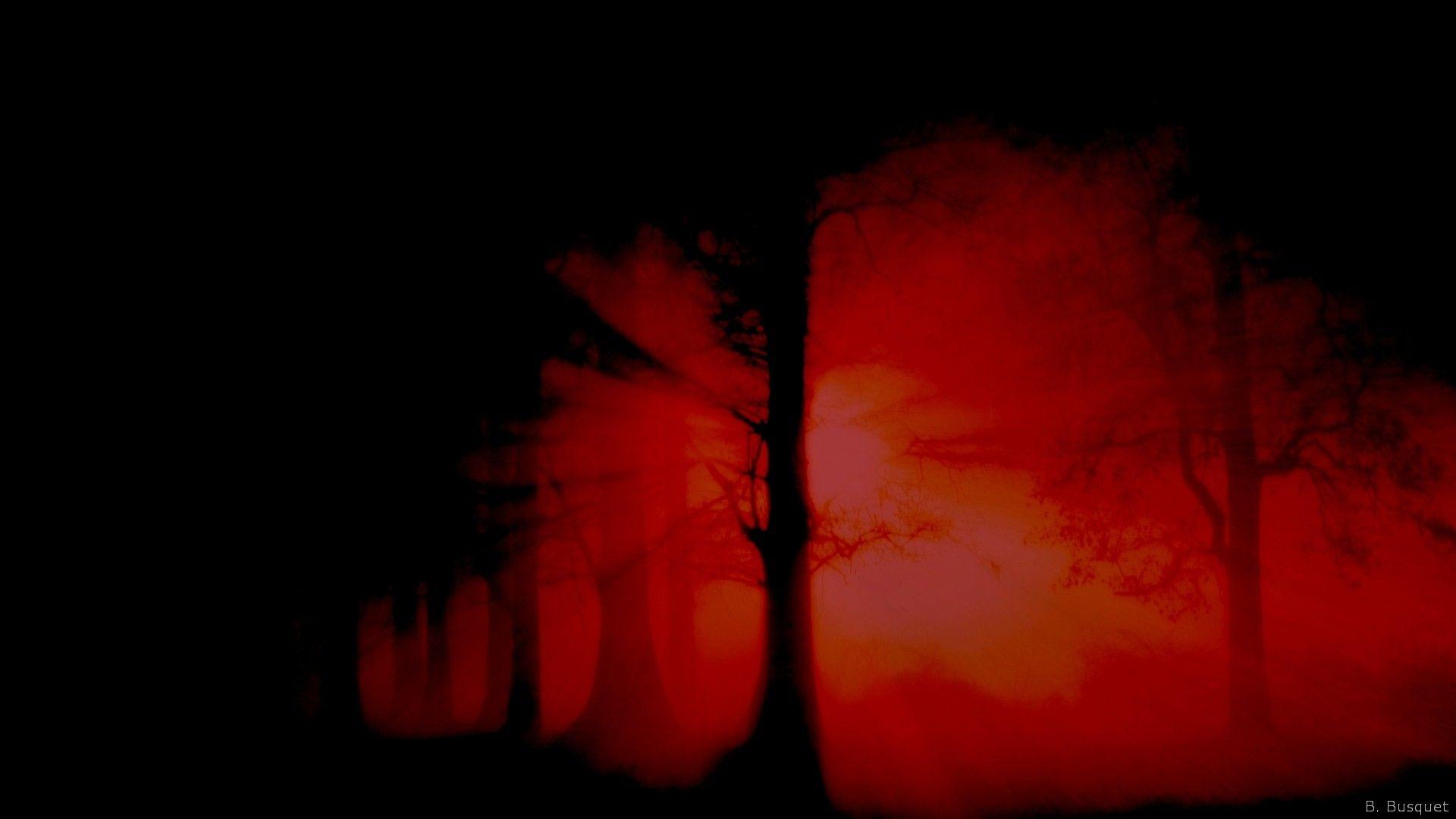 1920x1080 Black And Red Wallpaper And Black Forest