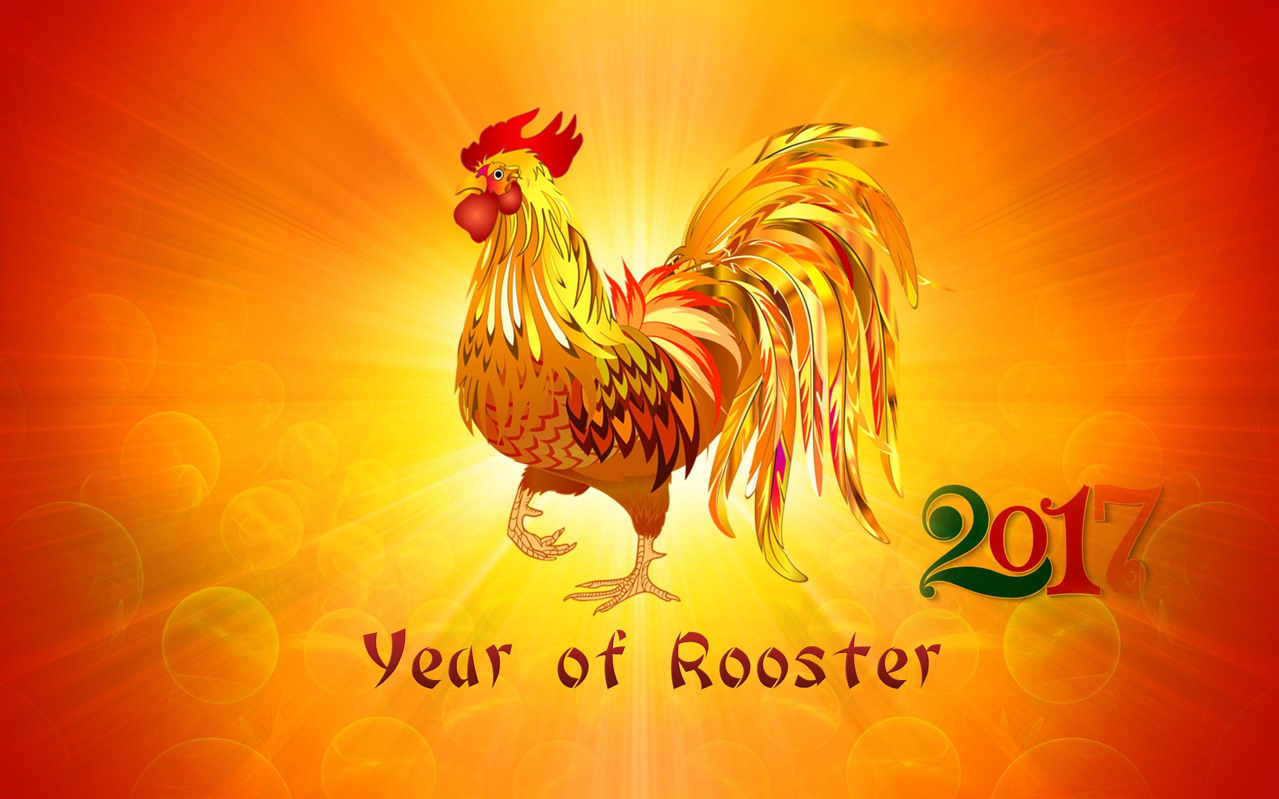 Rooster Wallpapers - Top Free Rooster Backgrounds - WallpaperAccess
