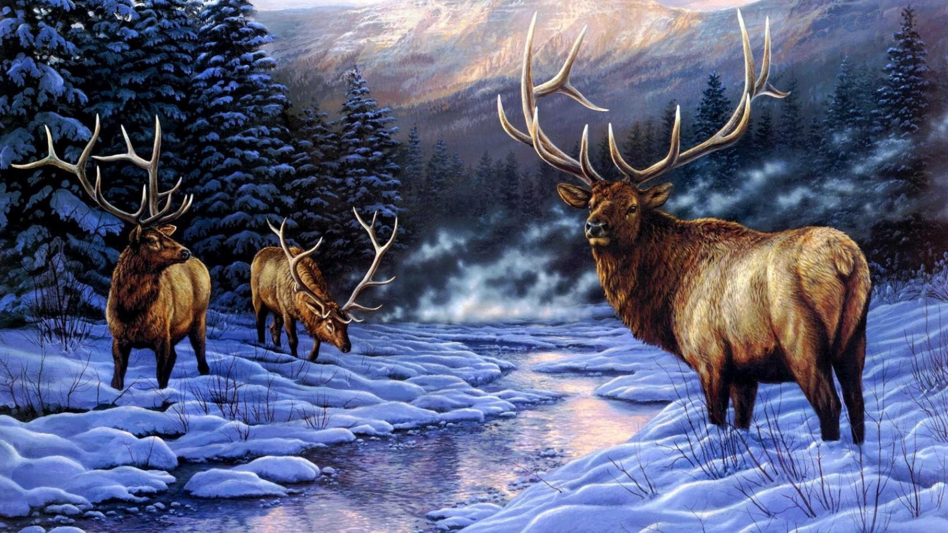 3840x2160 Free download Elk Wallpaper HD [3840x2160] for your Desktop
