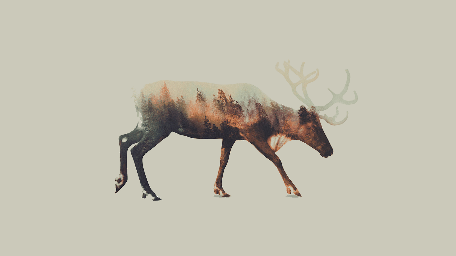 Double Exposure Wallpapers - Top Free Double Exposure Backgrounds