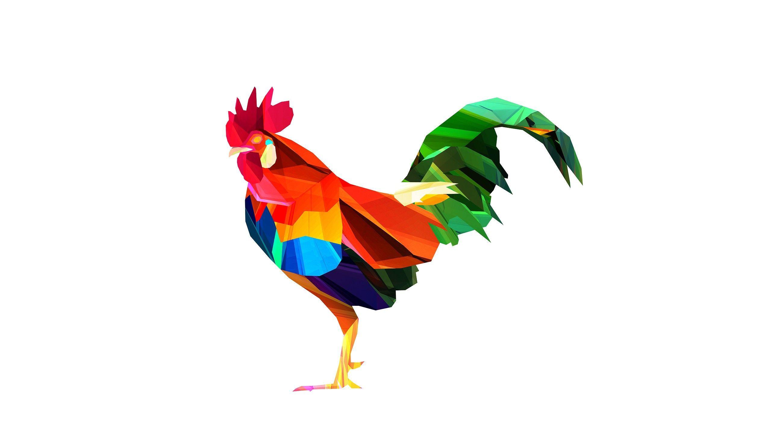 Chicken Wallpaper APK for Android Download