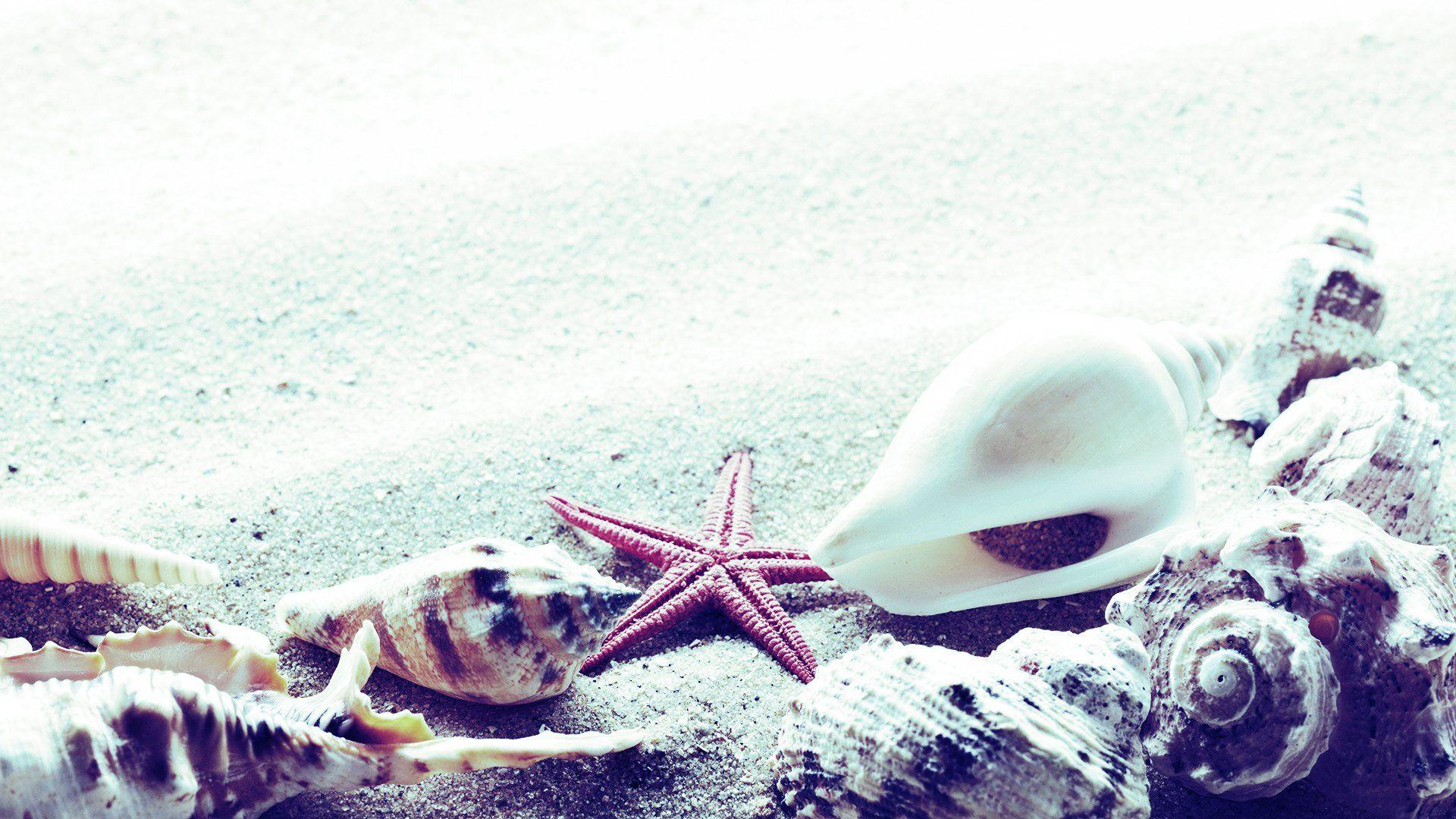1920x1080 Photography Image17: Photography Wallpaper 10001 1920x1080