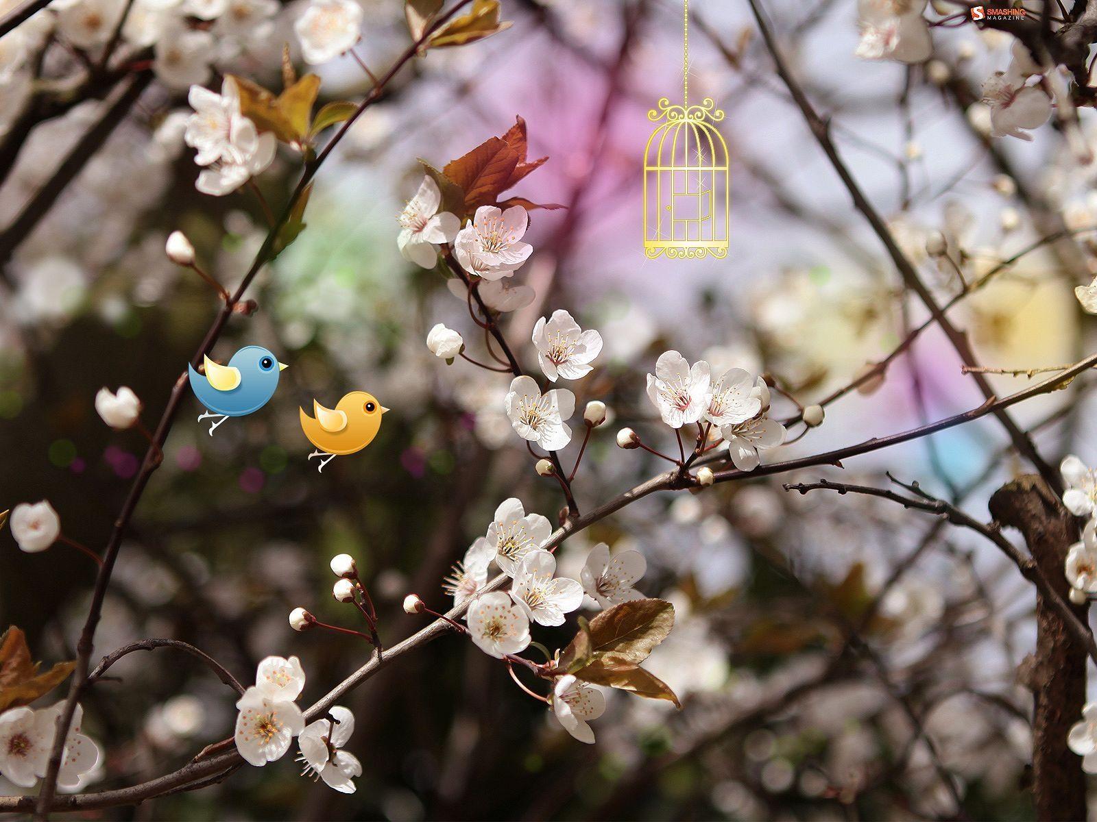 1600x1200 Cute Background Photography