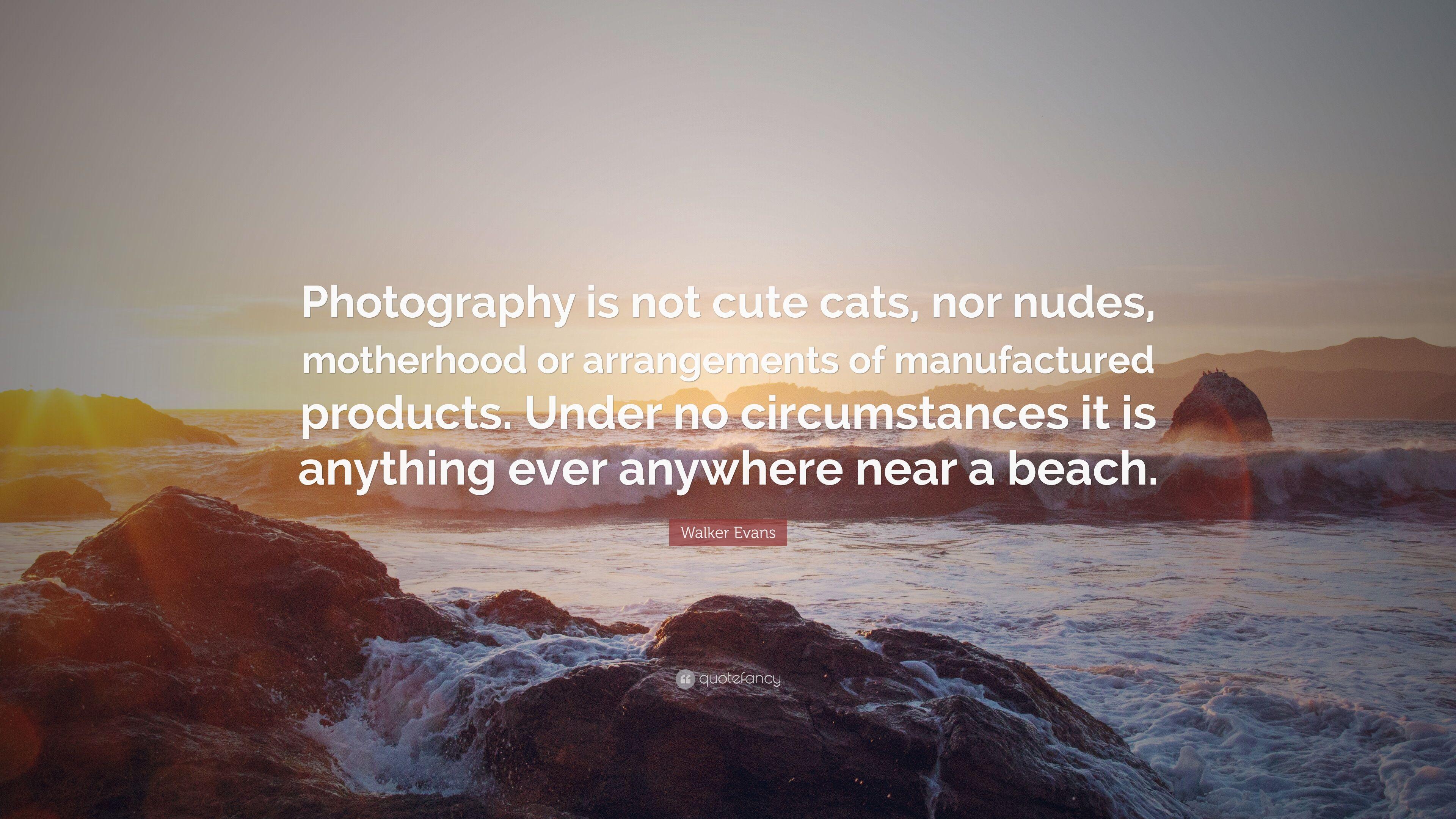 3840x2160 Walker Evans Quote: “Photography is not cute cats, nor nudes