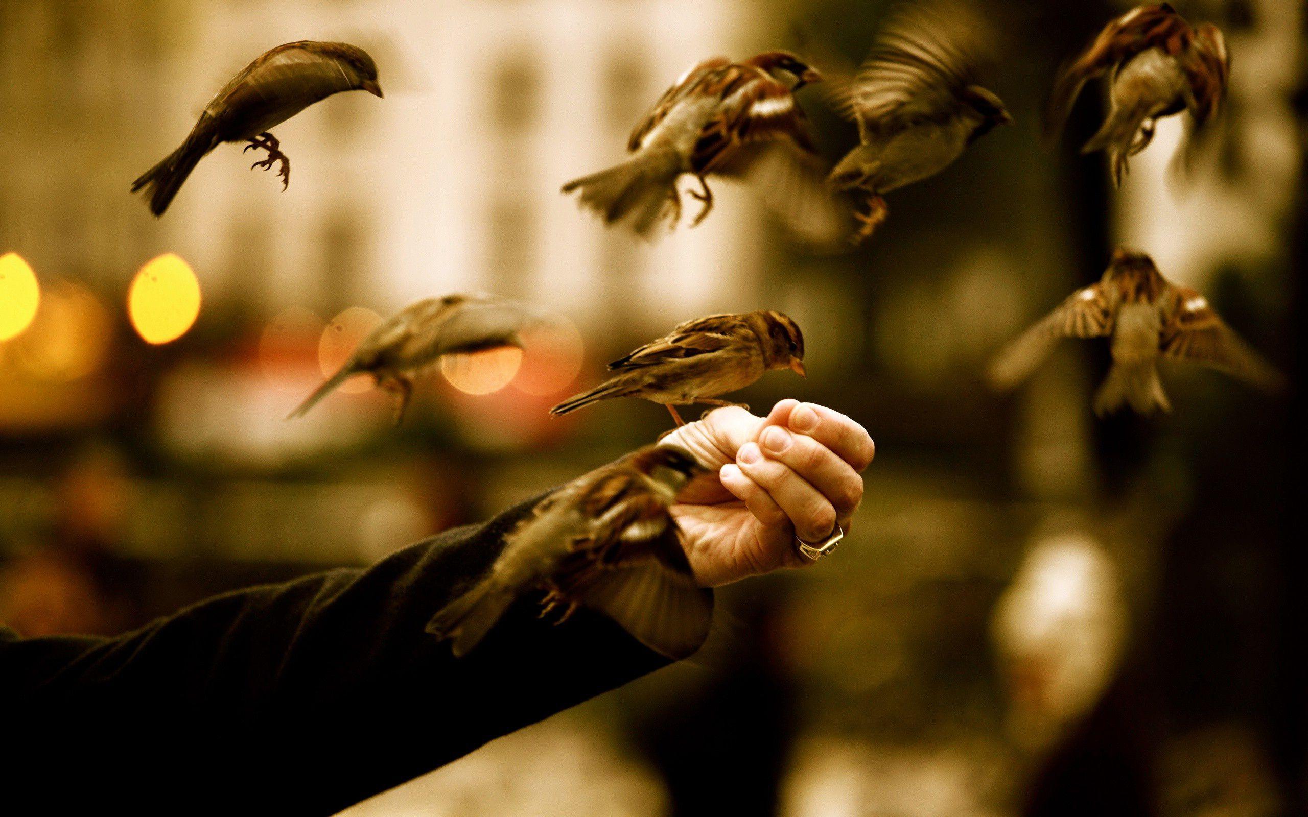 2560x1600 Great Photography s wallpaperx1600