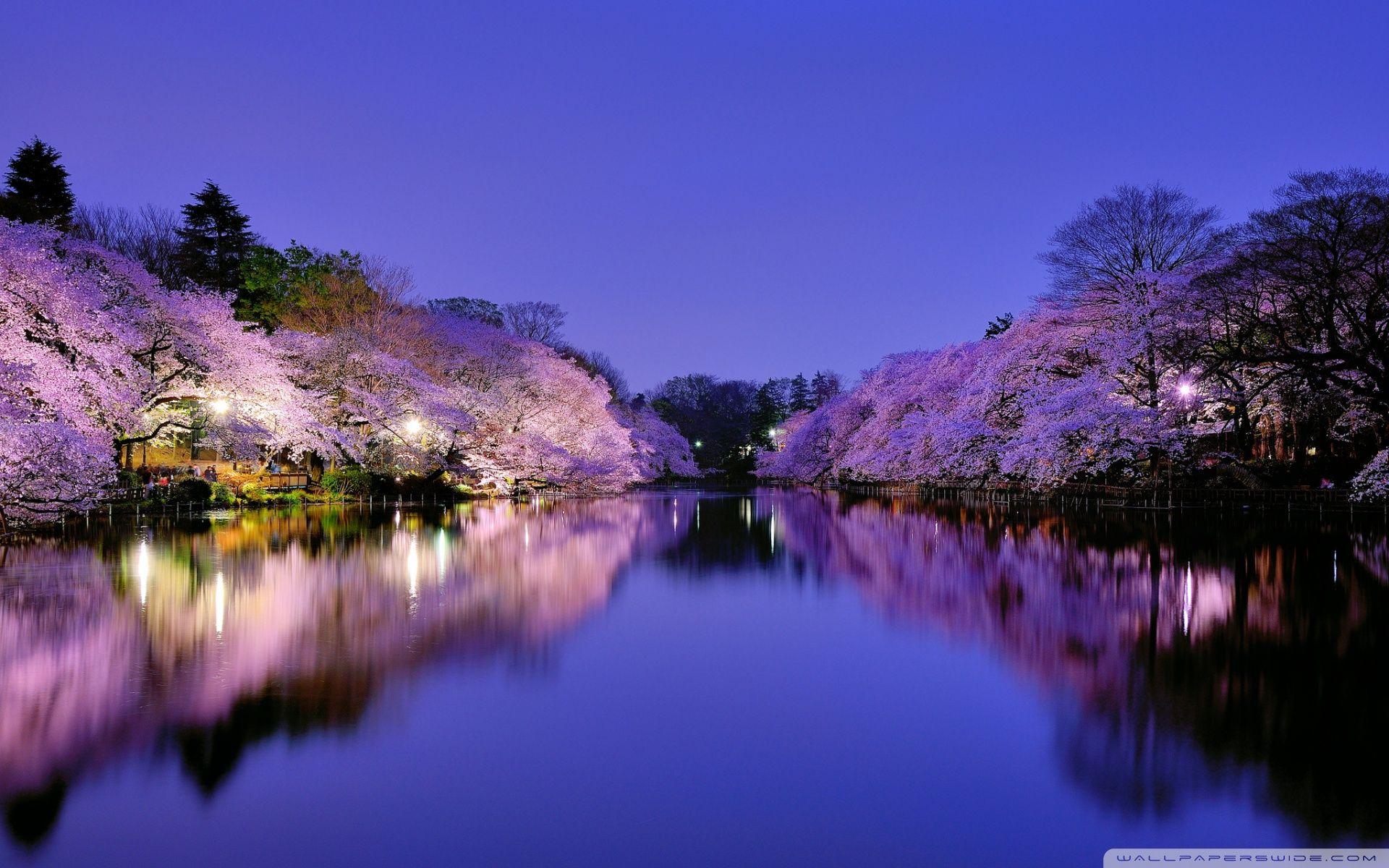 1920x1200 Osaka Wallpaper 4K (1920x1200 px)