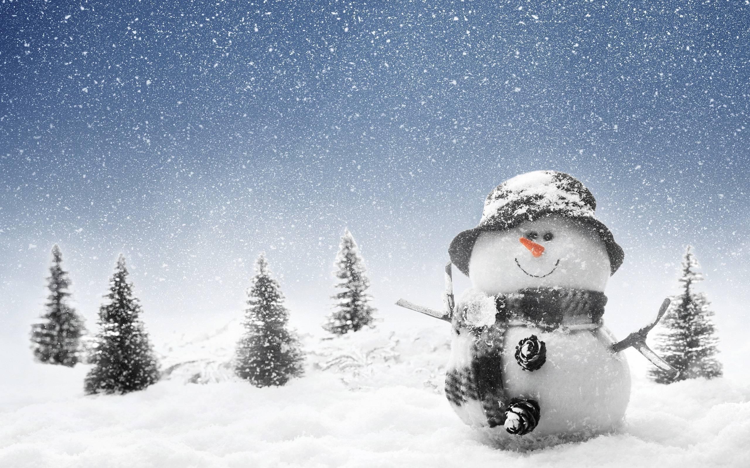 2560x1600 Download Winter Snowman Wallpaper, HD Background Download