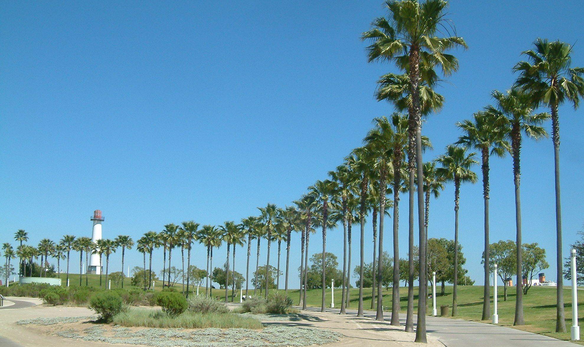 1979x1177 Travelling Background, 441470 Long Beach California