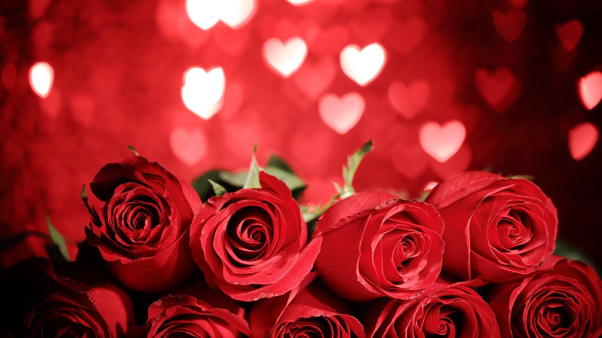 1920x1080 Red Rose with Hearts Wallpaper