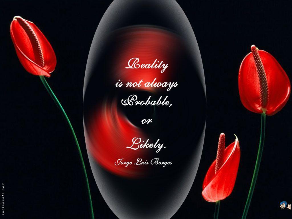 1024x768 Free Red Rose Wallpaper