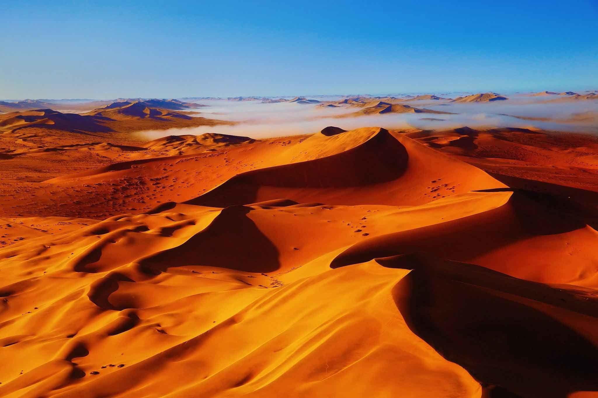 2048x1365 Desert Oasis Wallpaper