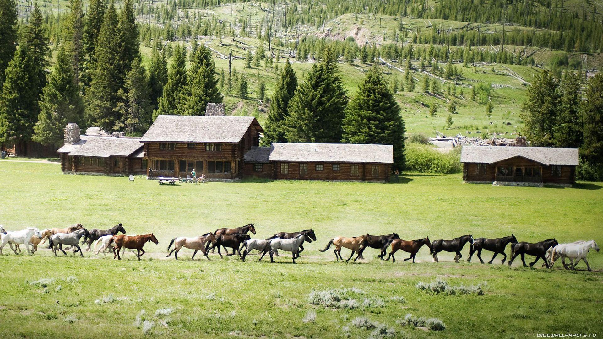 Ranch Wallpapers - Top Free Ranch Backgrounds - WallpaperAccess