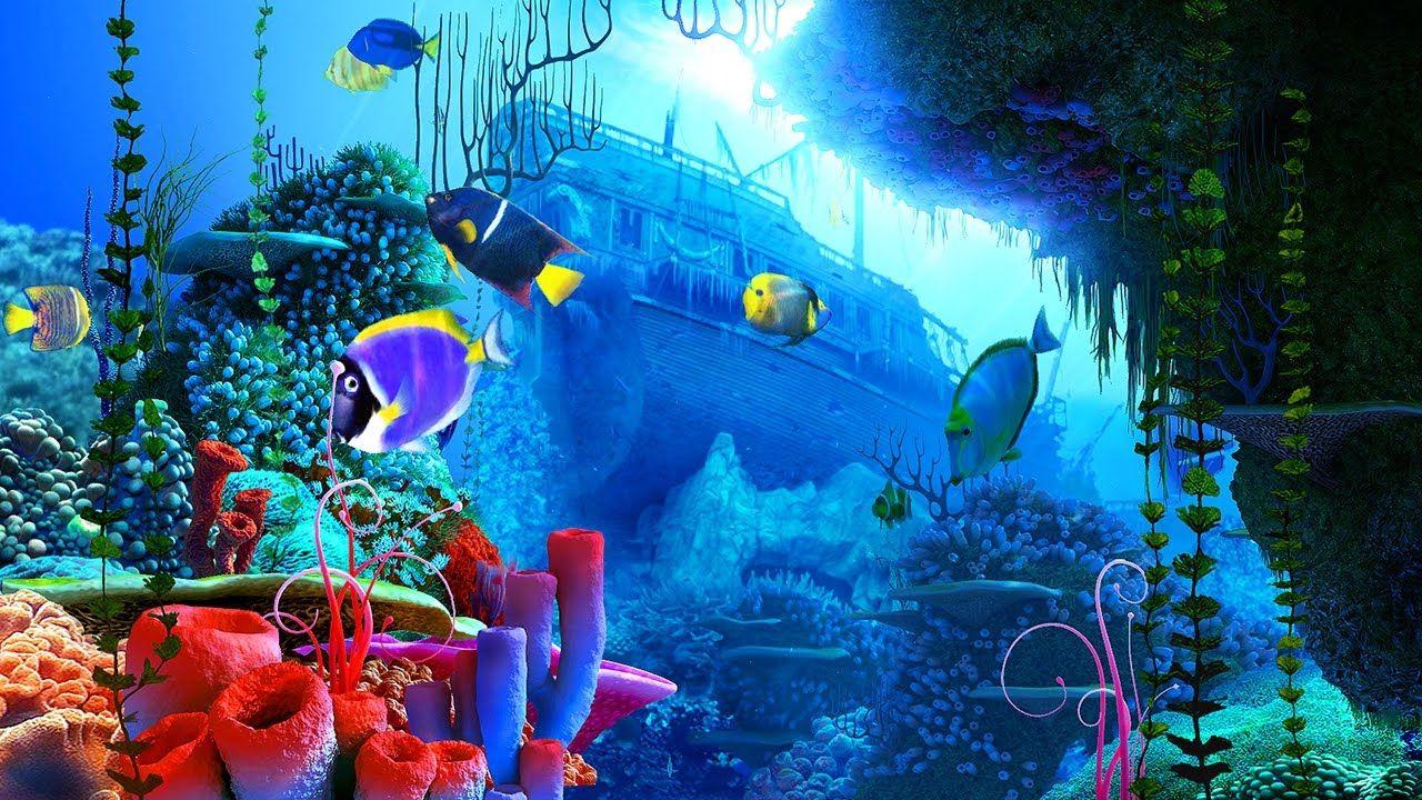 1280x720 Coral Reef 3D Screensaver & Live Wallpaper HD