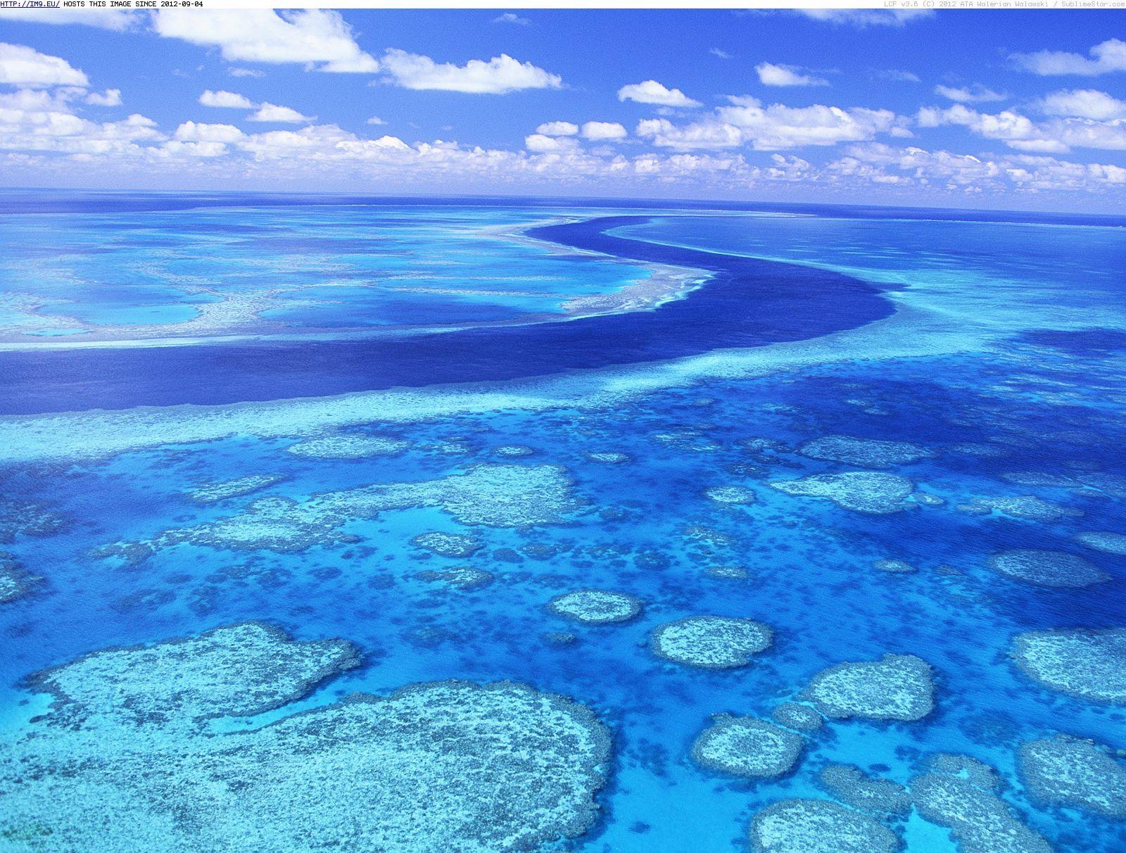 1600x1212 Great Barrier Reef Wallpaper, Great Barrier Reef