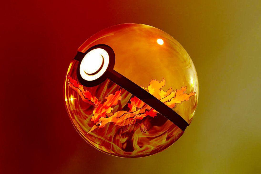 1095x730 Moltres Wallpaper