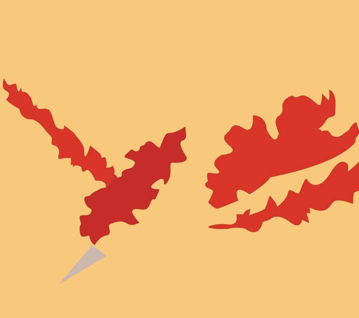 1206x1069 Moltres wallpaper