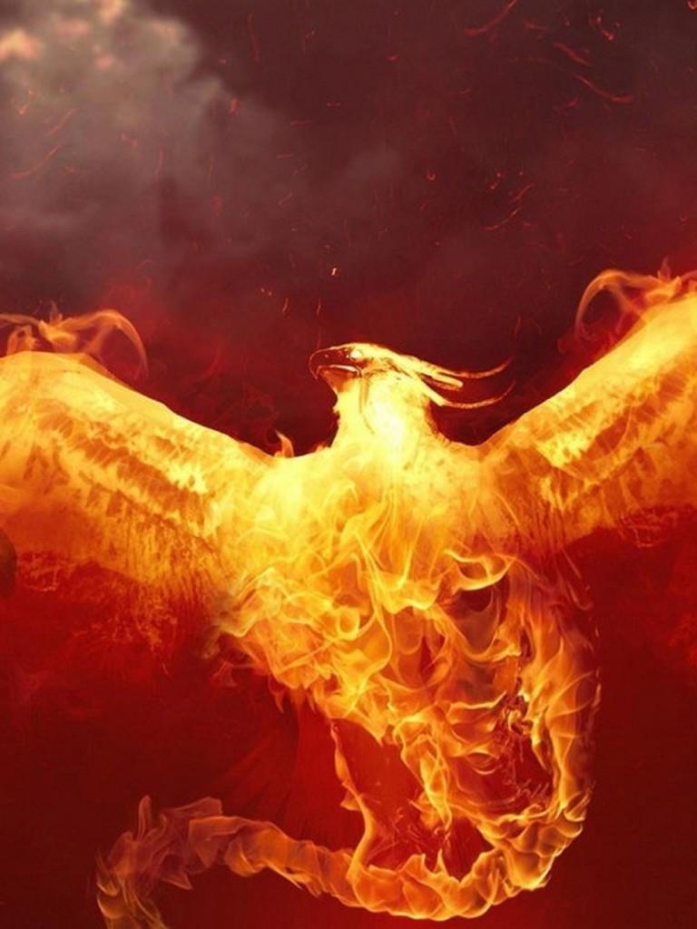 768x1024 Moltres Wallpaper for Android