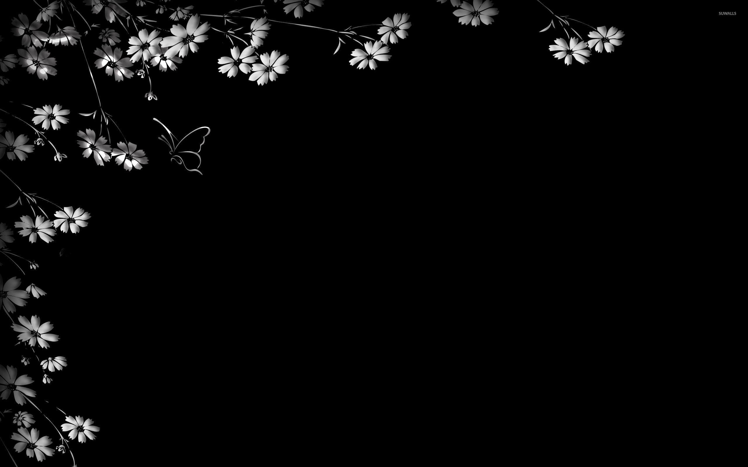 2560x1600 Black And White Daisy Wallpaper, Free Stock Wallpaper