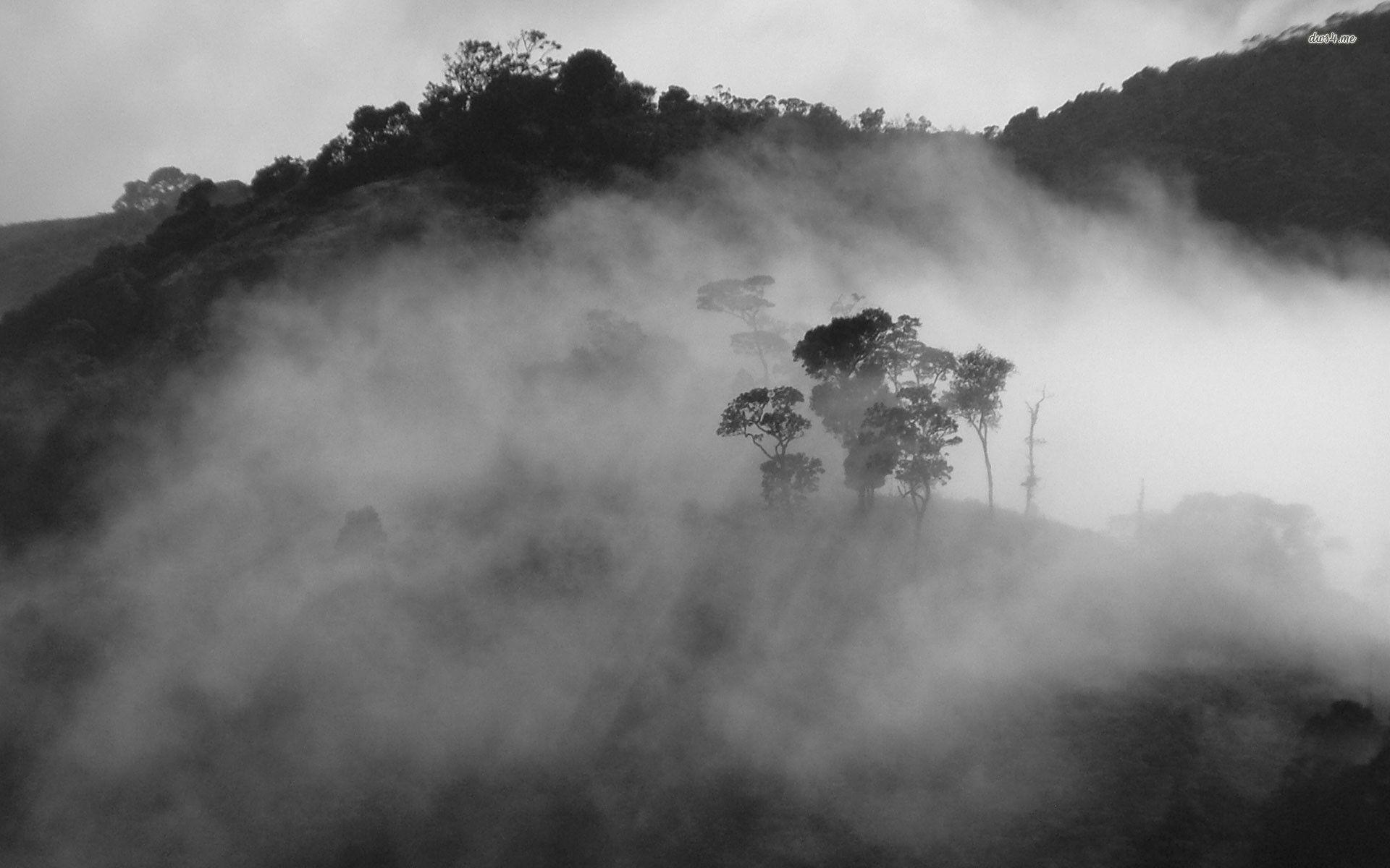 1920x1200 Mountain Art Fog Nature Dark Bw Hình nền iPhone 6