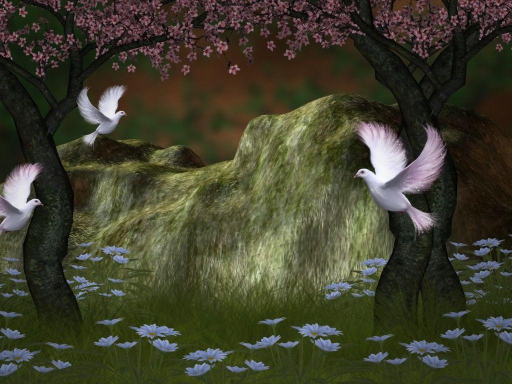 1024x768 Kabootar Ke Wallpaper, Picture